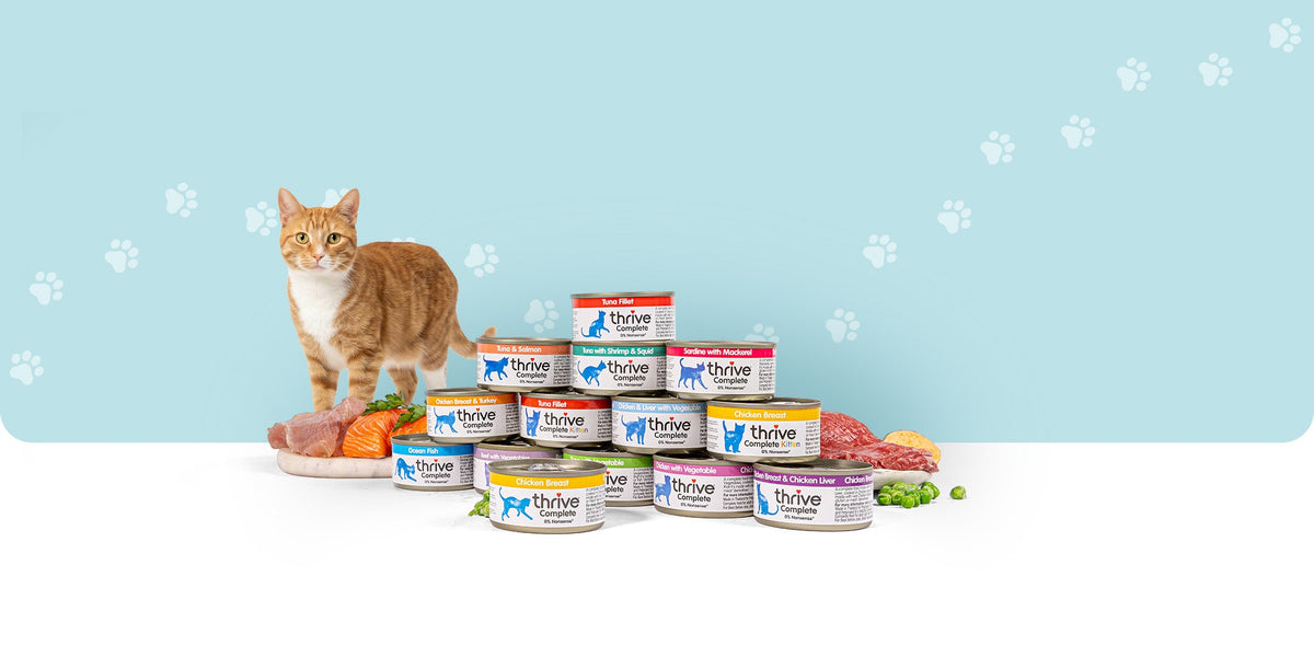 Wet Cat Food – Thrive