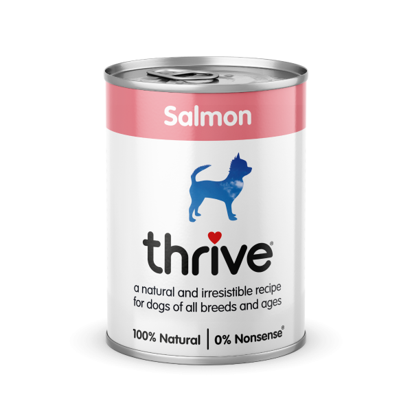 Salmon Complete Dog Food 375g Tin