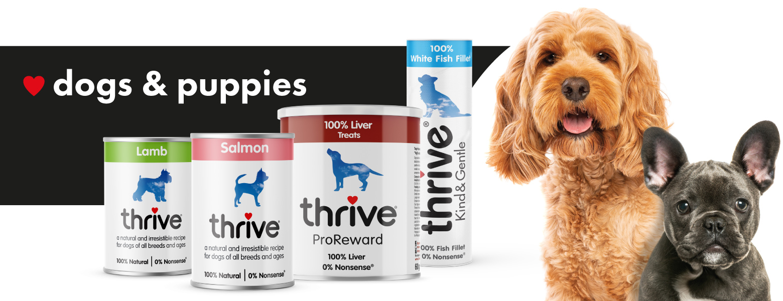 Real dry dog food and treats | Thrive Pet Foods.